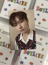 Boylife 特別盤 6