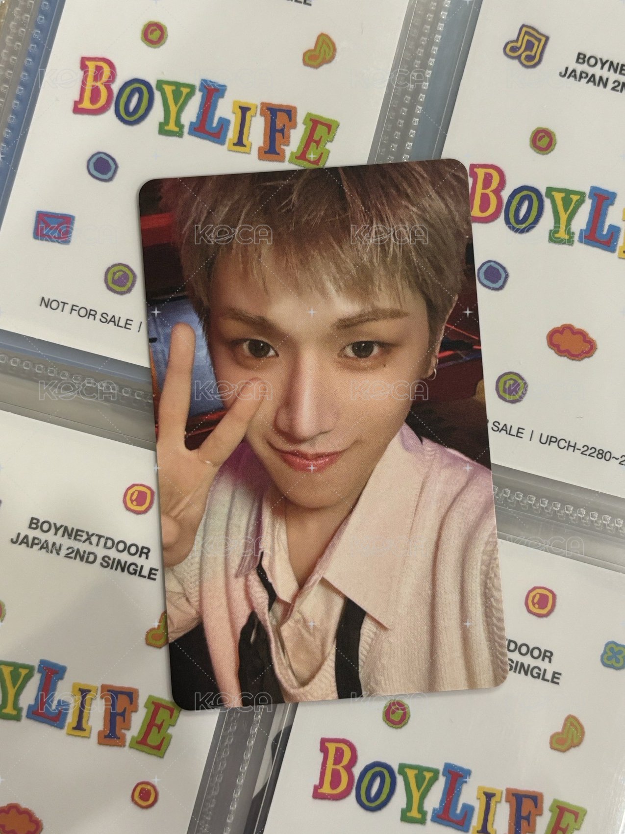Boylife 環球LD 2