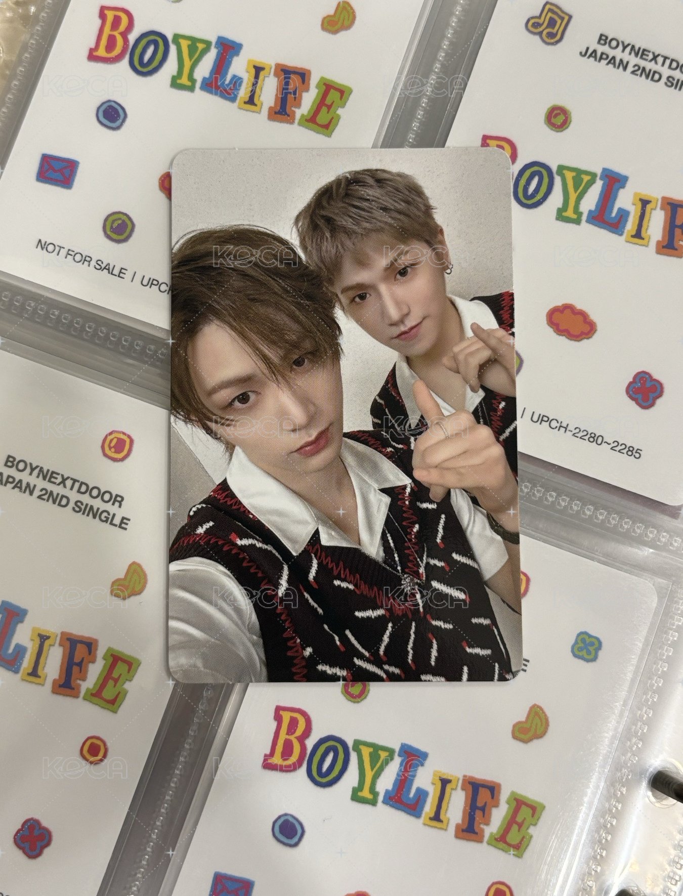 Boylife 24 雙人卡