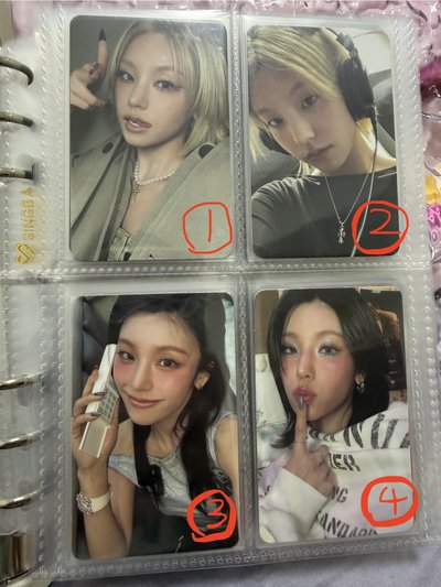 志卡