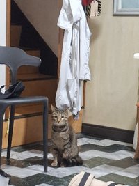 佑