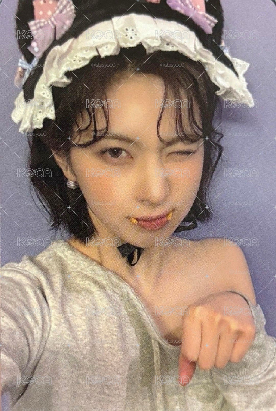 吸血鬼貓 裴🧛