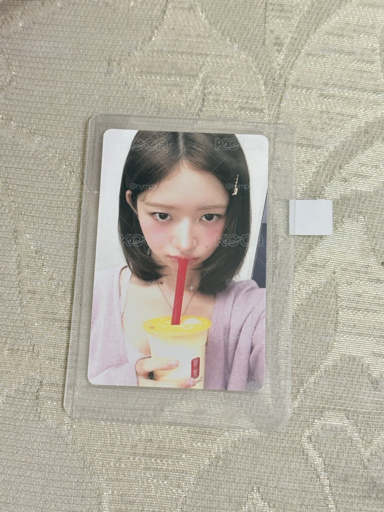 貢茶怜