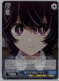 遊戲卡 ws卡