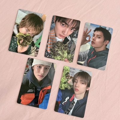 MA簽售卡 整套 現貨 送卡盒 musicart 生菜卡 