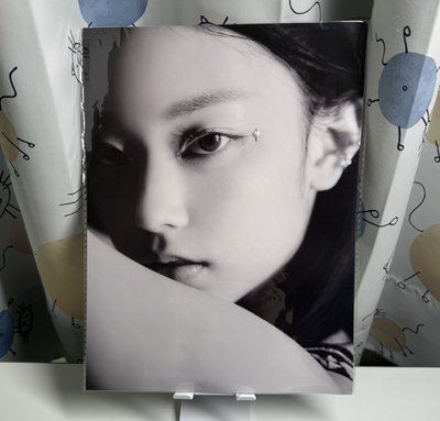 藍書海報（貓+丹）