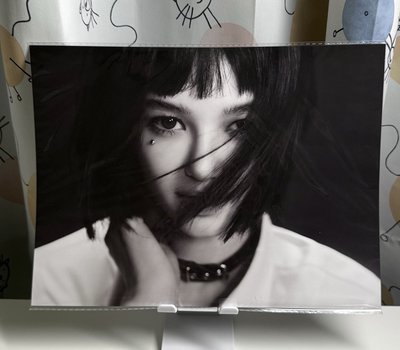 藍書海報（貓+丹）