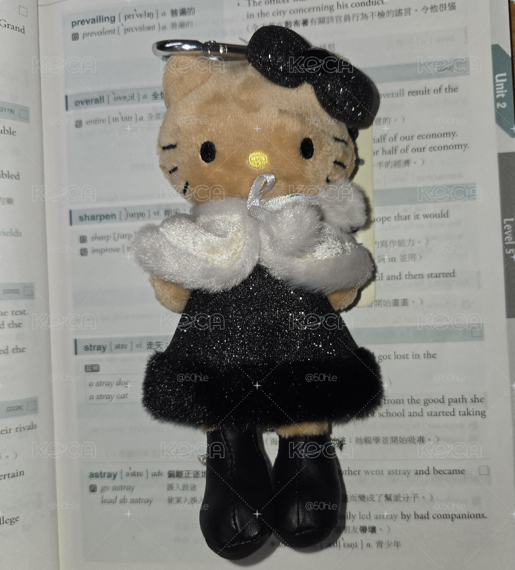 冬日長腿kt