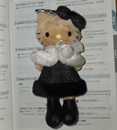 冬日長腿kt