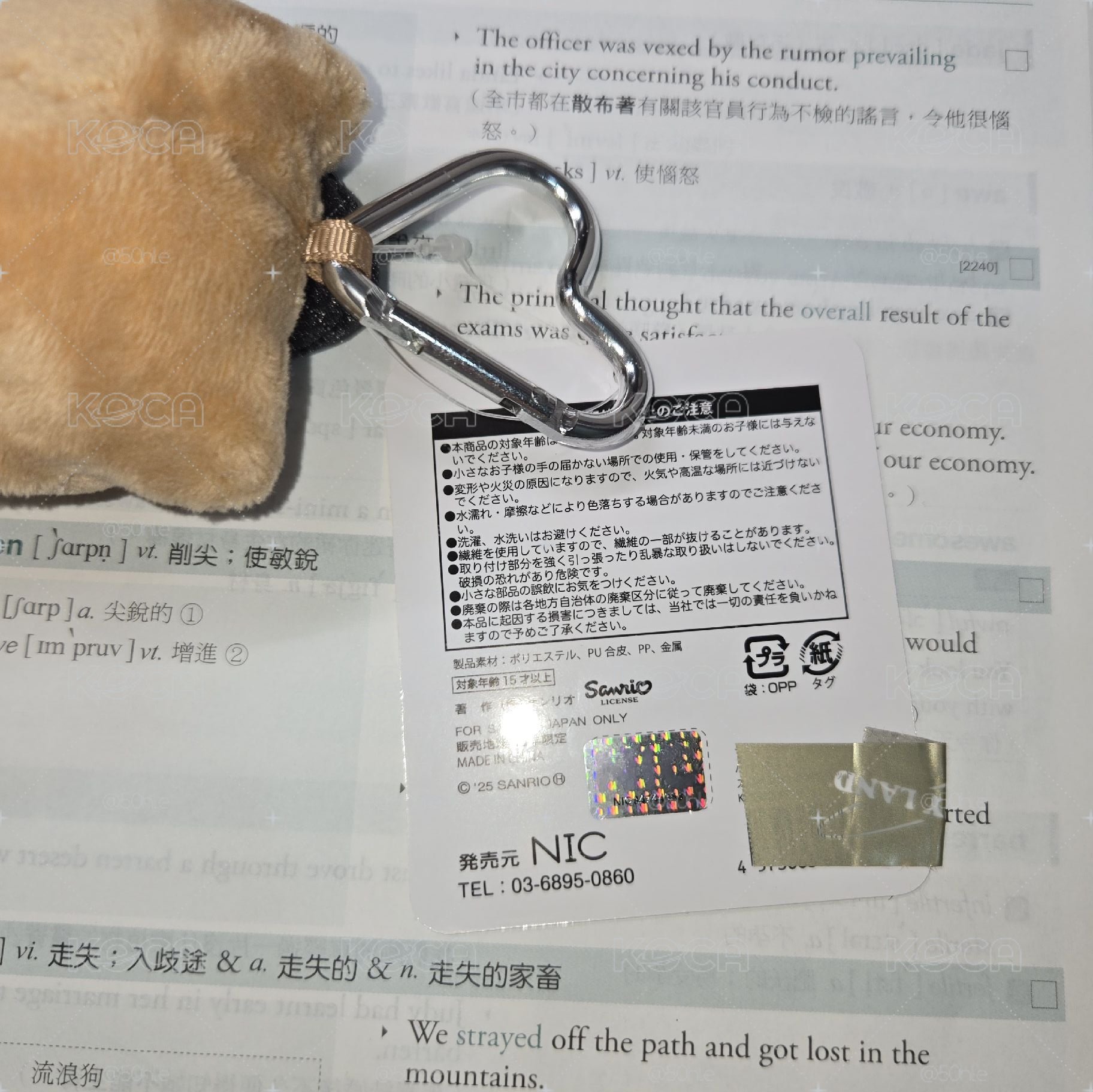 冬日長腿kt