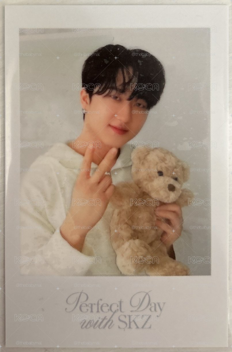 Straykids 2024年曆彬