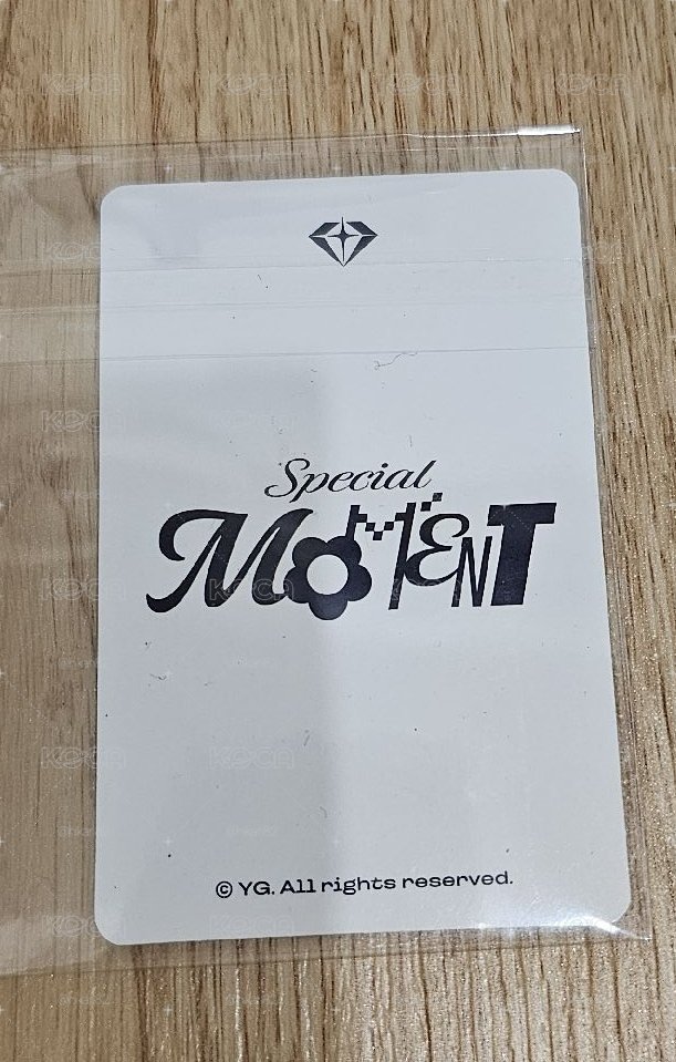 2025 TREASURE FAN CONCERT [SPECIAL MOMENT] 🐨