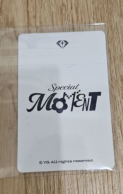 2025 TREASURE FAN CONCERT [SPECIAL MOMENT] 🐨