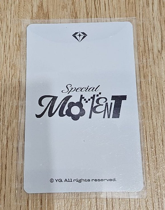 2025 TREASURE FAN CONCERT [SPECIAL MOMENT] 🐨