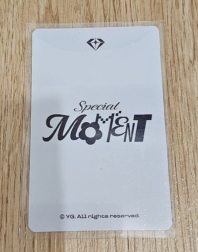 2025 TREASURE FAN CONCERT [SPECIAL MOMENT] 🐨