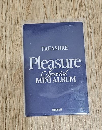 TREASURE PLEASURE SPECIAL MINI ALBUM 🐨