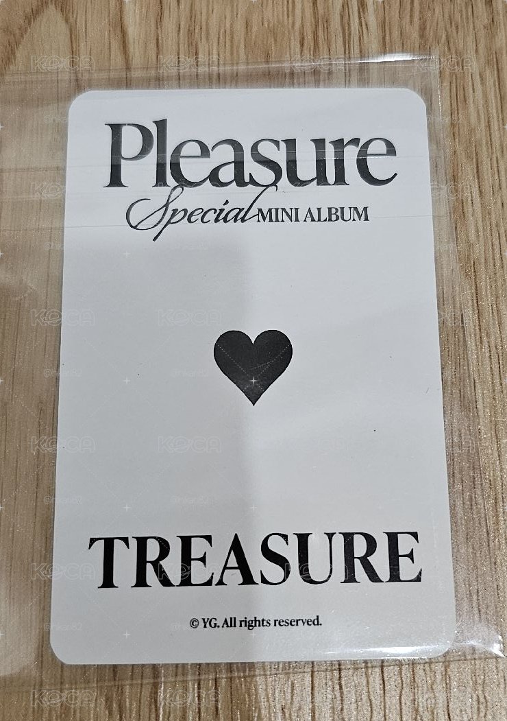 TREASURE PLEASURE SPECIAL MINI ALBUM 🐨