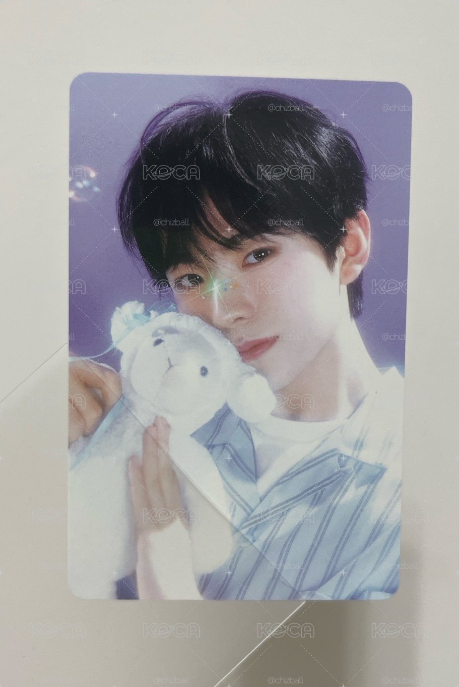 🐑🐈