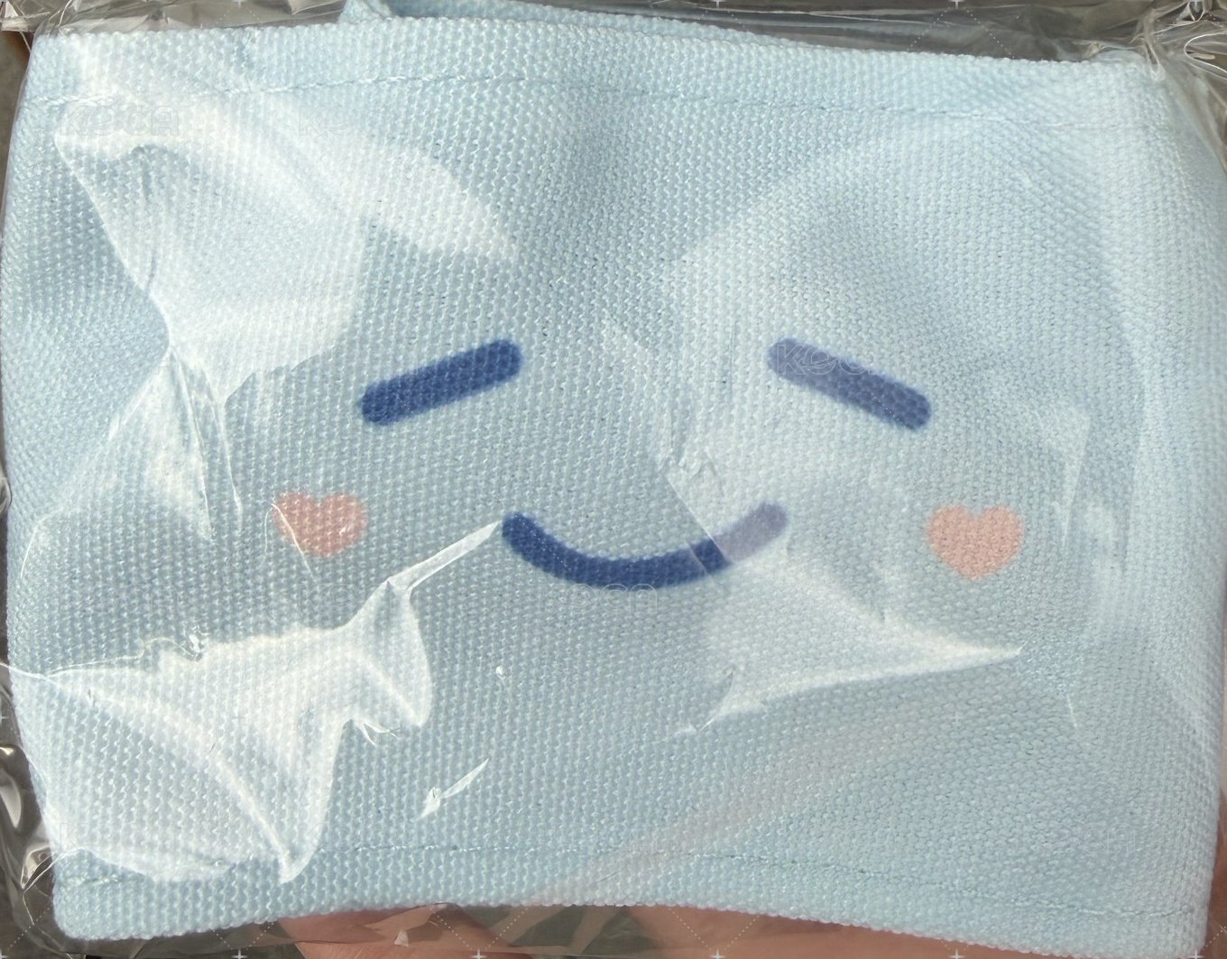 海
