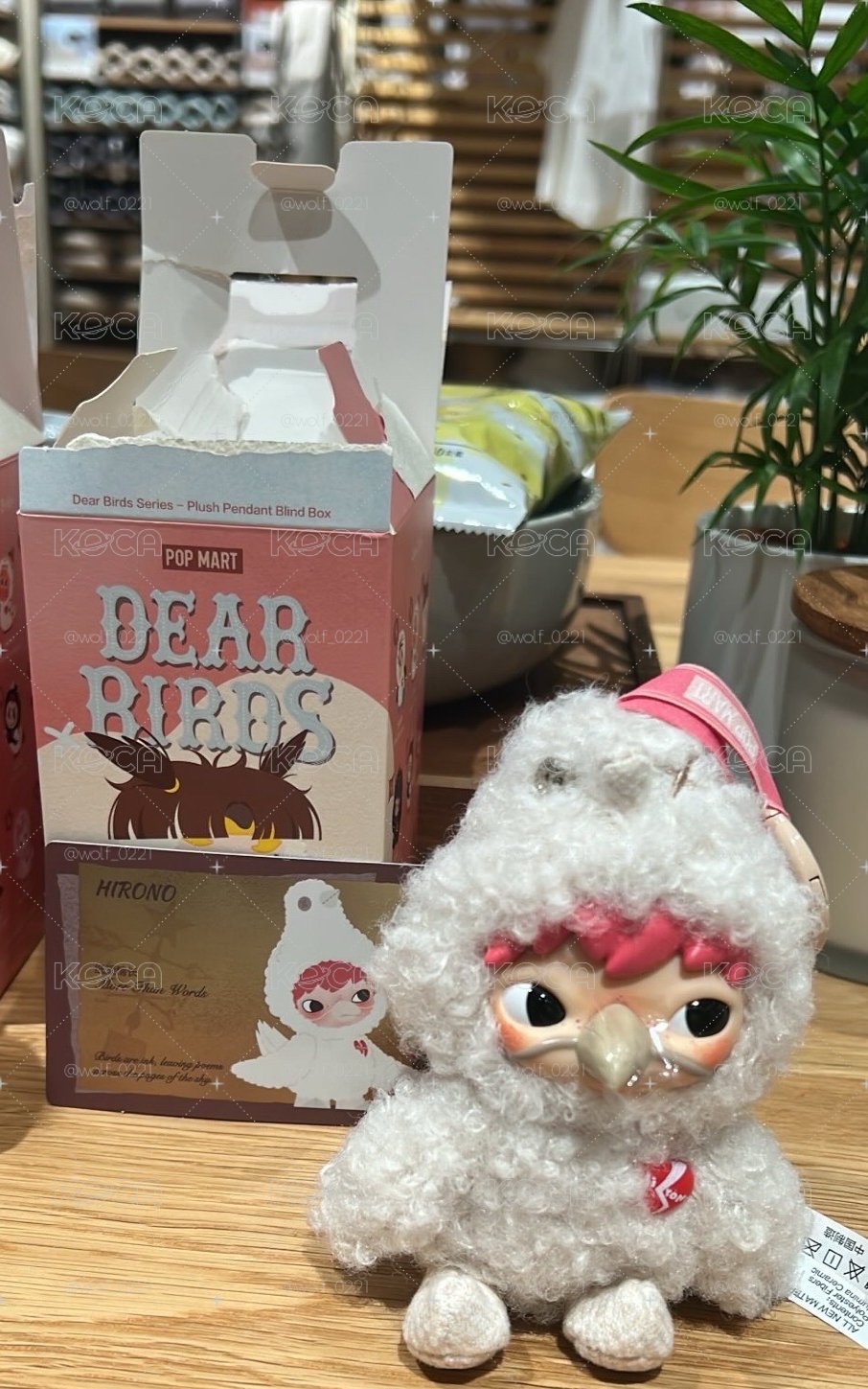 dear birds  小野隱藏