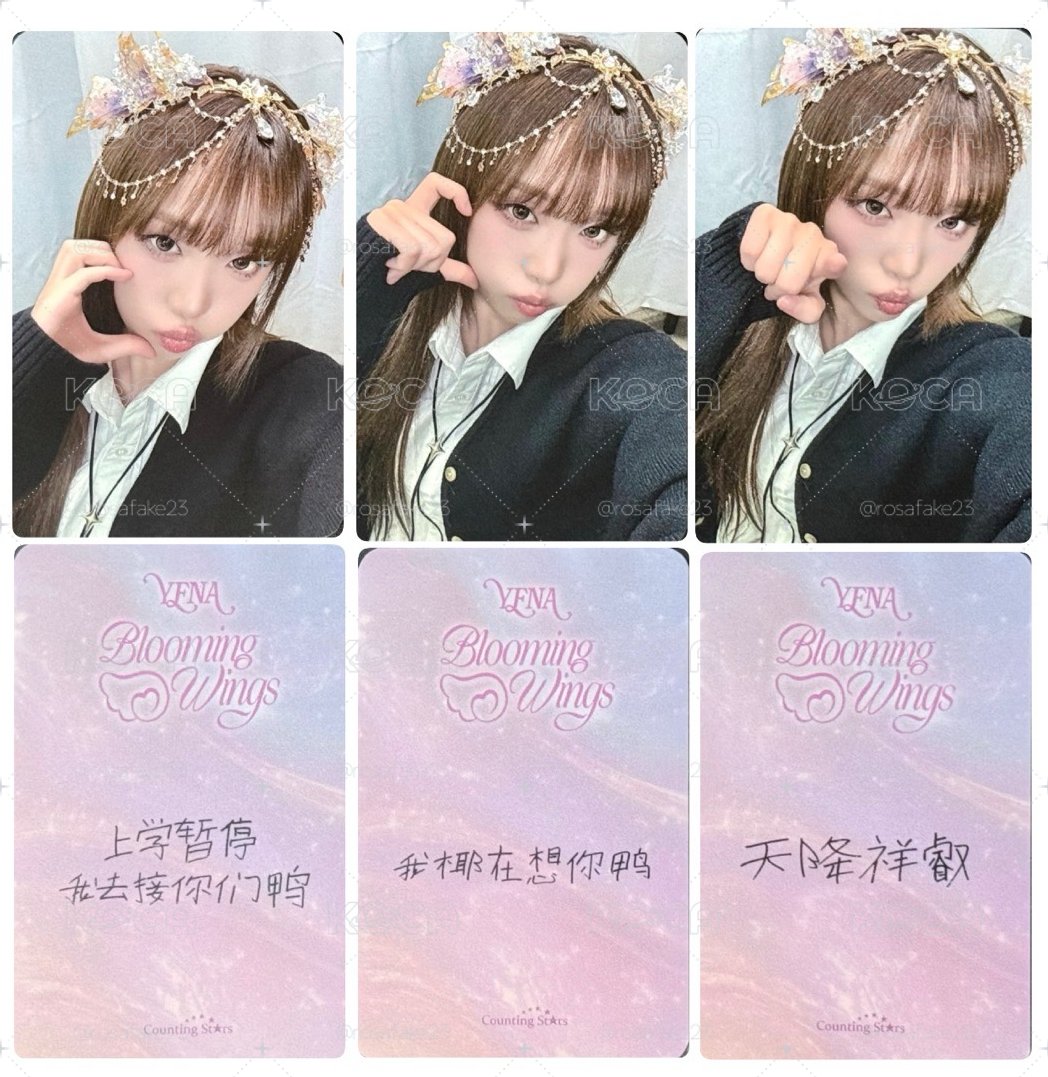Yena 人魚公主 中文卡背