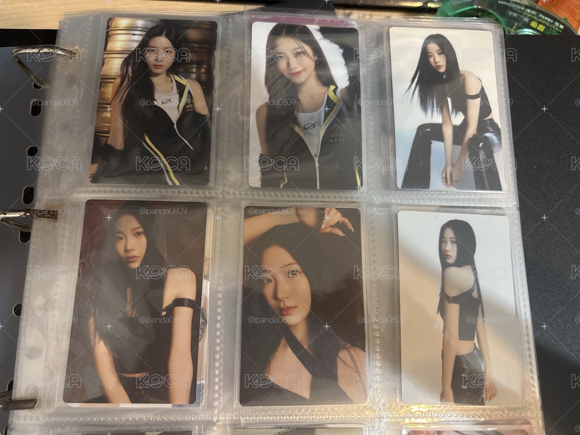 ㄧ葉卡包卡 100/6