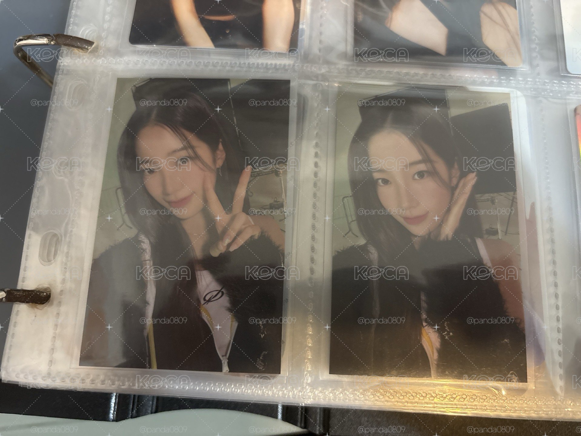 短袖卡+帽踢卡葉