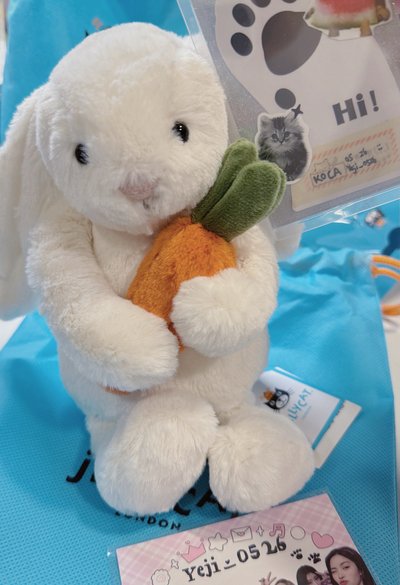《現貨💖甜甜臉含防塵袋》抱胡蘿蔔兔🐰🥕