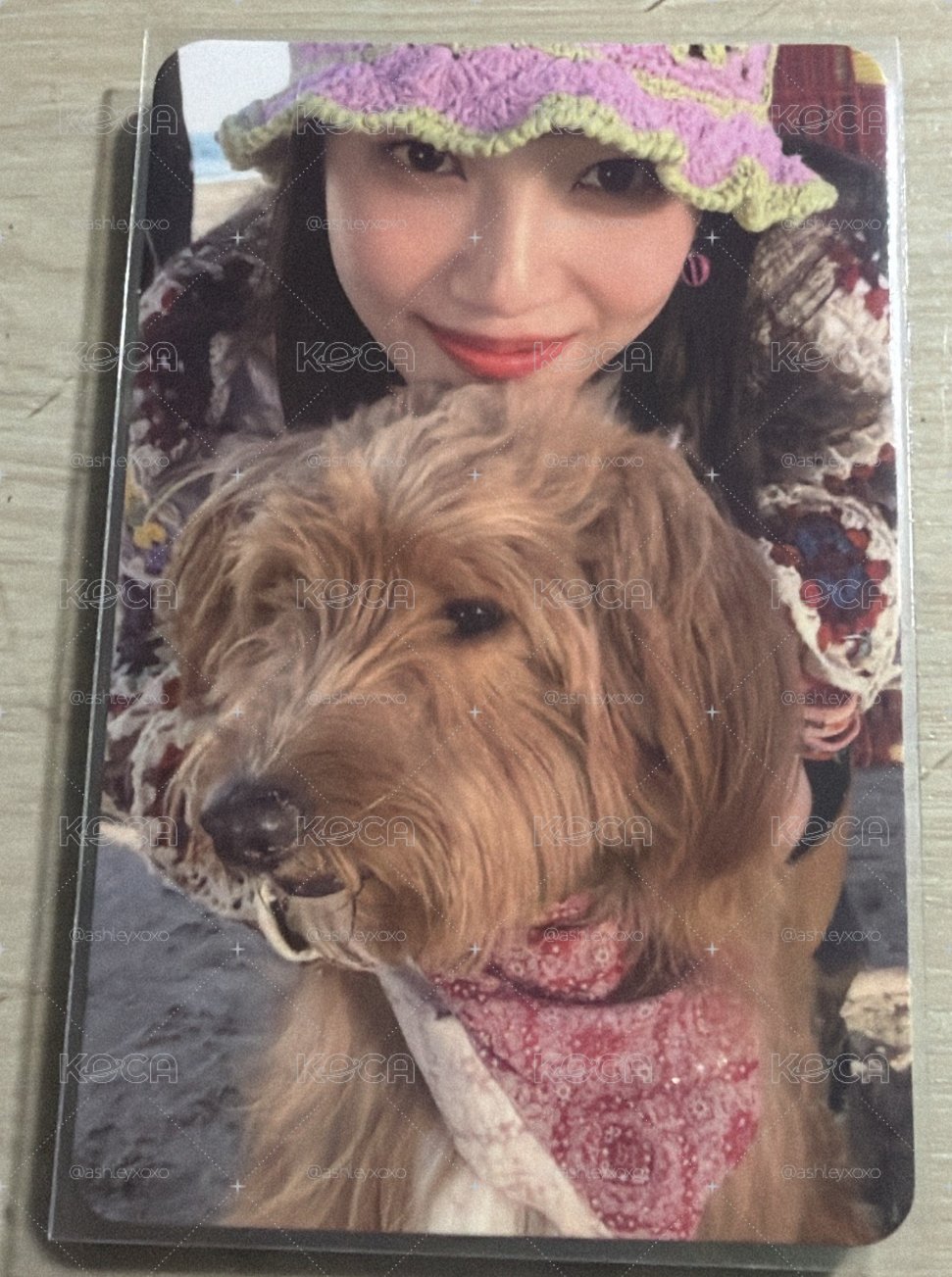 Red Velvet JOY Hello專卡 狗狗九