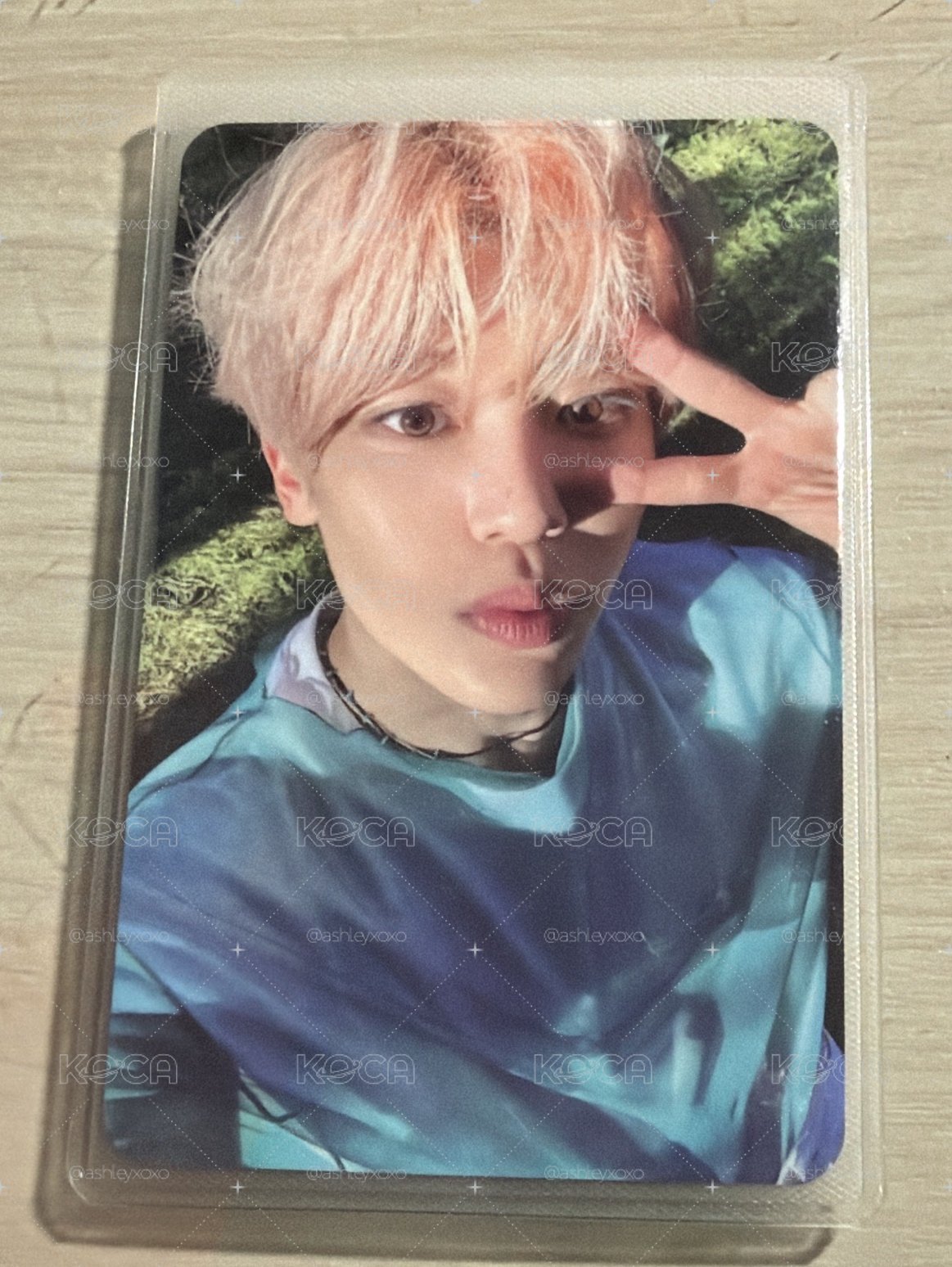 NCT WISH SION SongBird 專卡