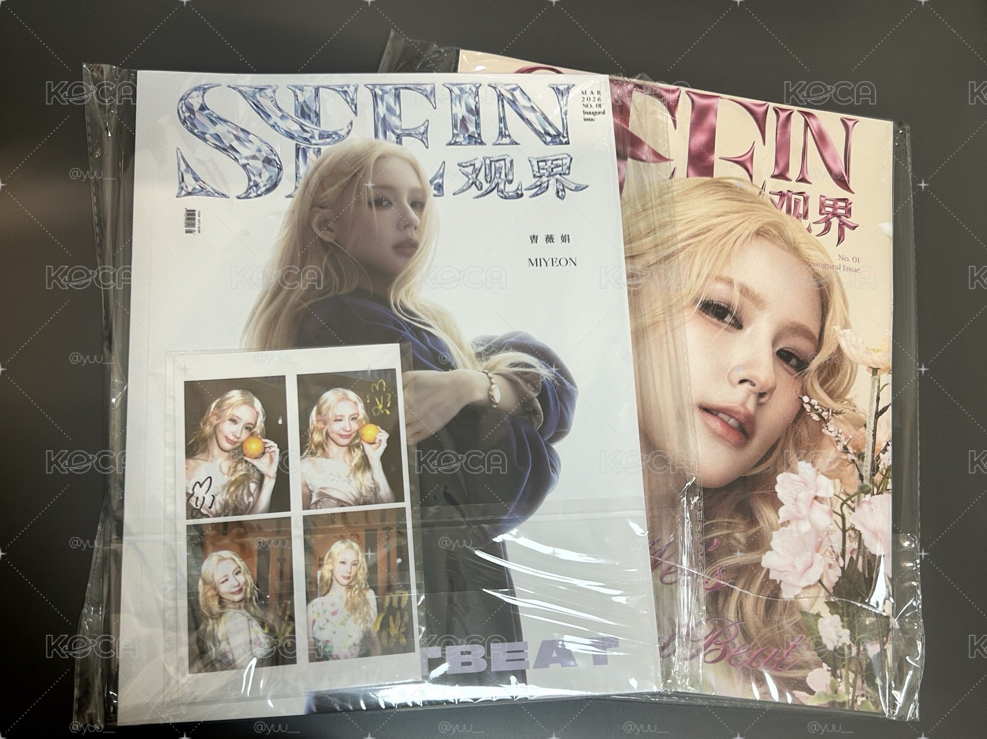 麵觀界雜誌