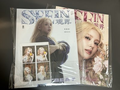 麵觀界雜誌