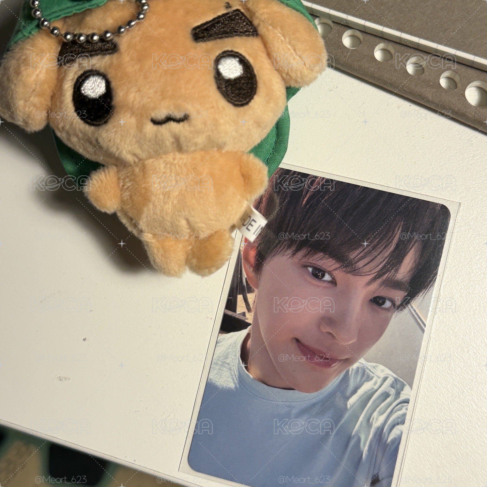sw安小狗