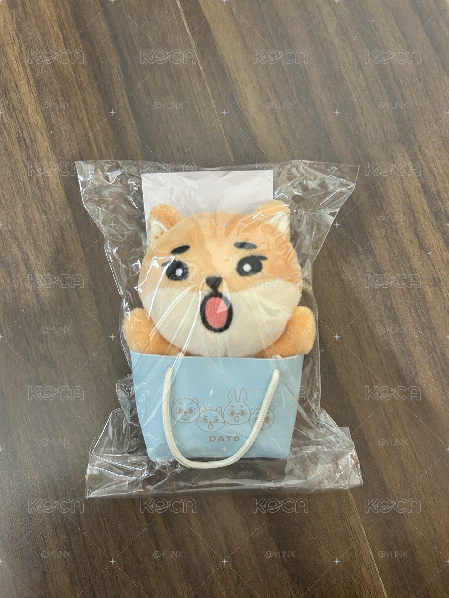 日周🦊袋子娃