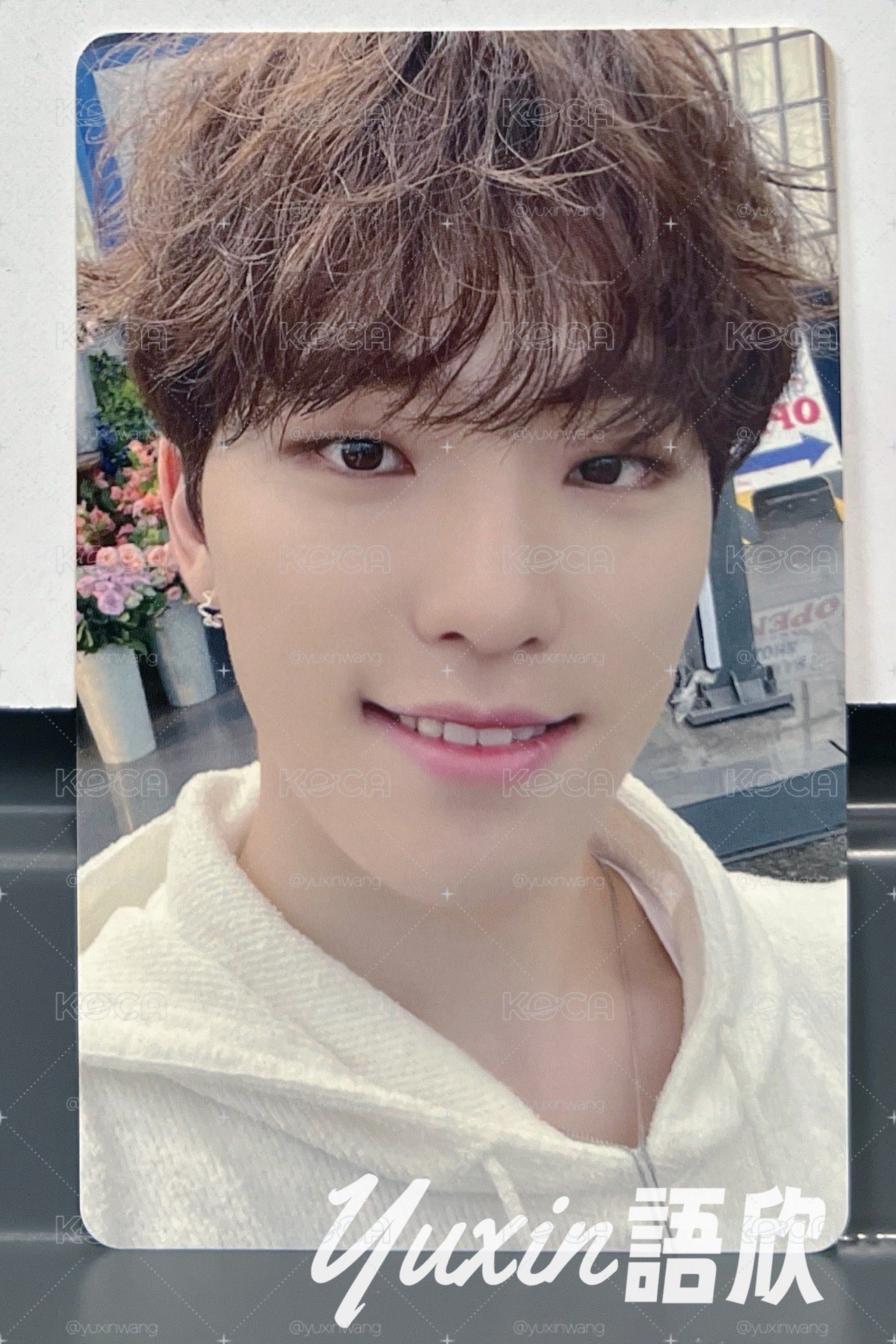 現貨✅ SEVENTEEN DINO SECTOR 17 專輯 Weverse JAPAN 日咖 特典 小卡