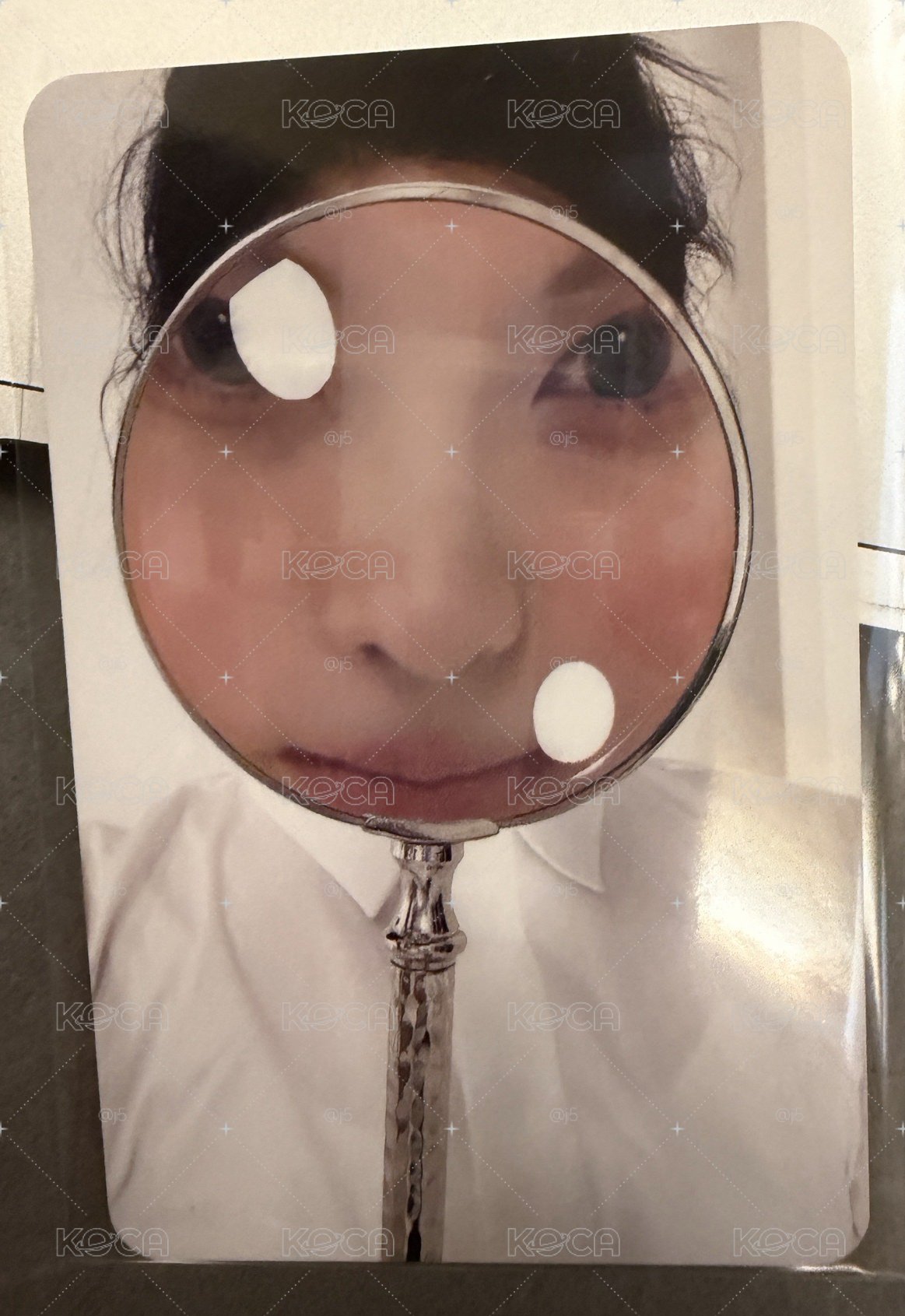ms預售 裴