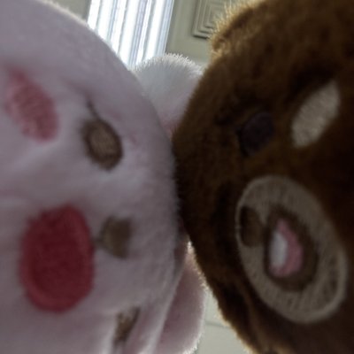 元弼小卡