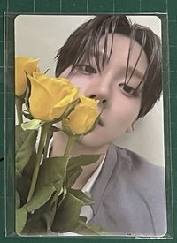 捧花沅