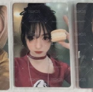 馬卡龍中背賢