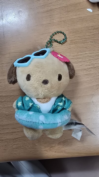 oluve young 曬黑帕恰狗