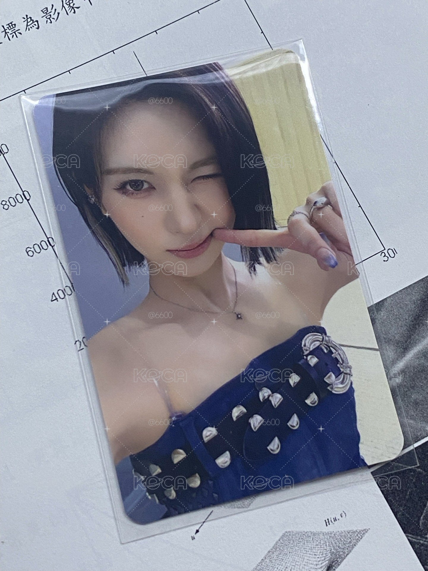 合影裴