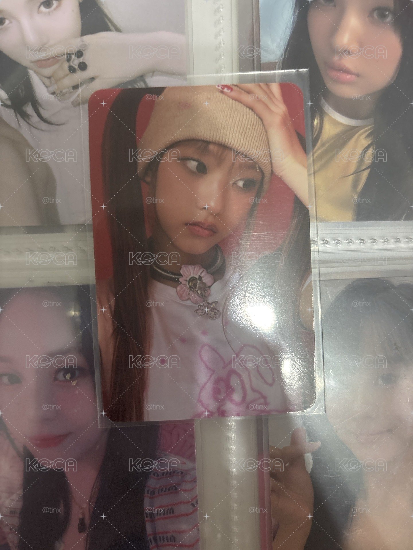貓專卡