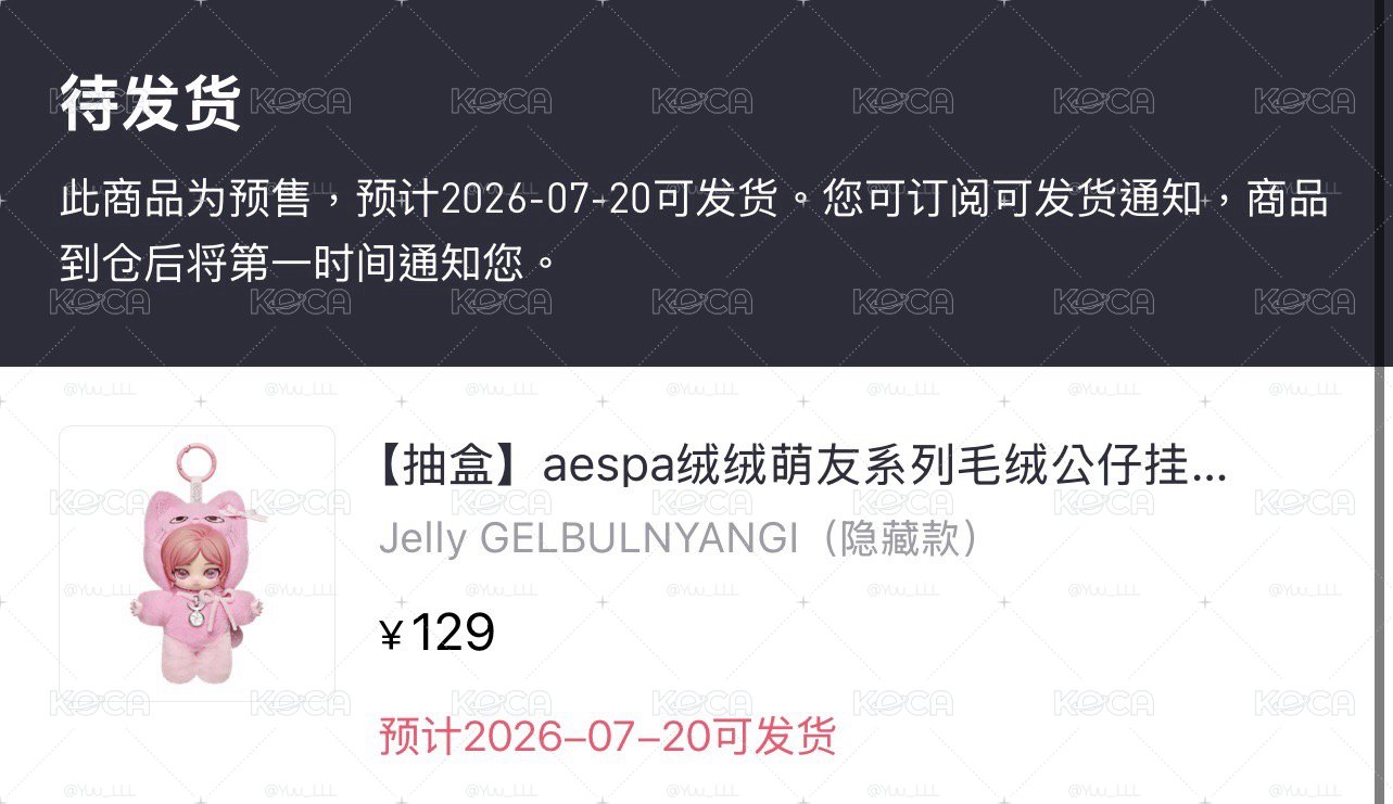 Aespa 泡泡瑪特 隱藏吉
