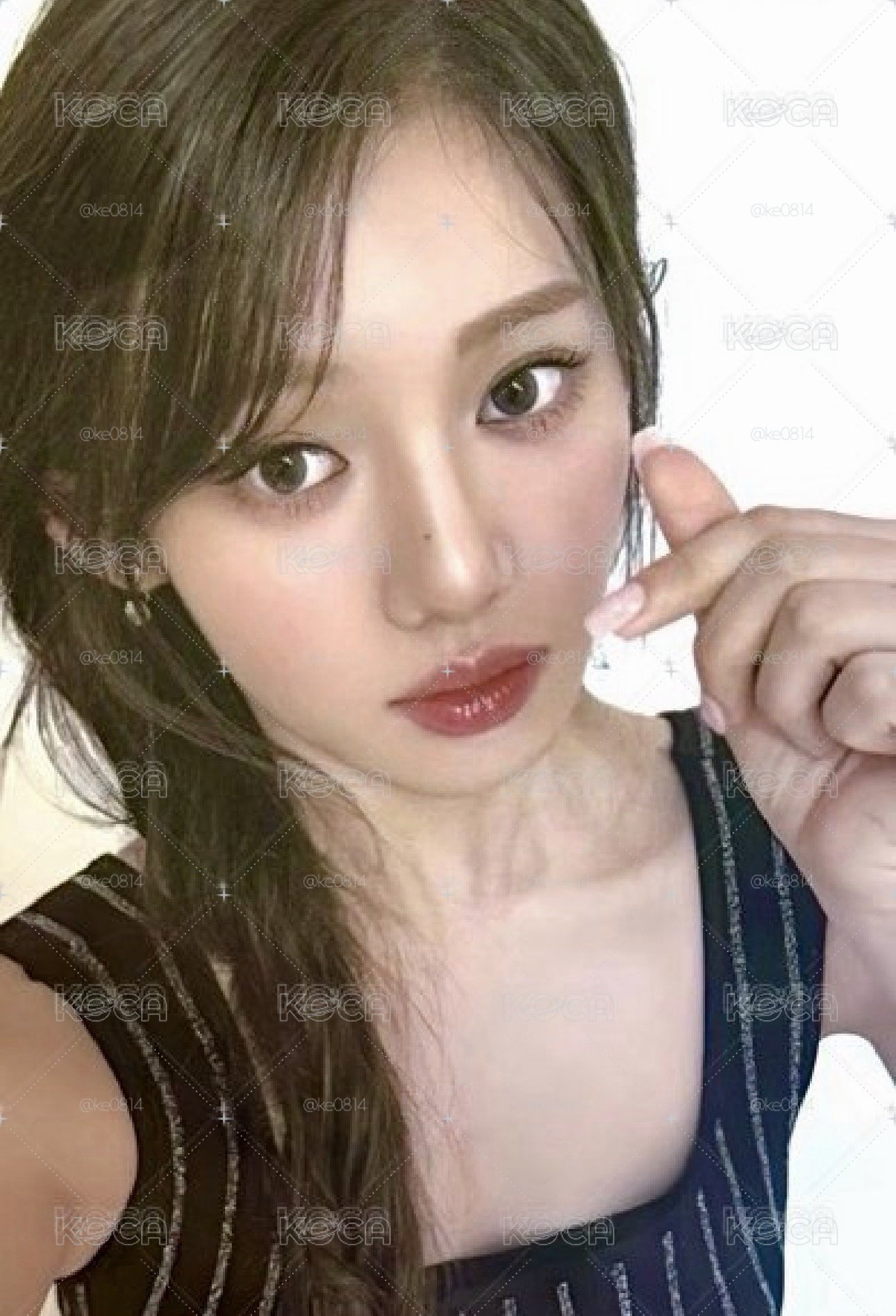 芭妮蘭 茶