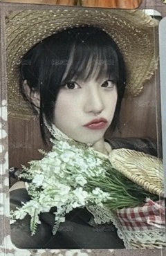 野餐琦