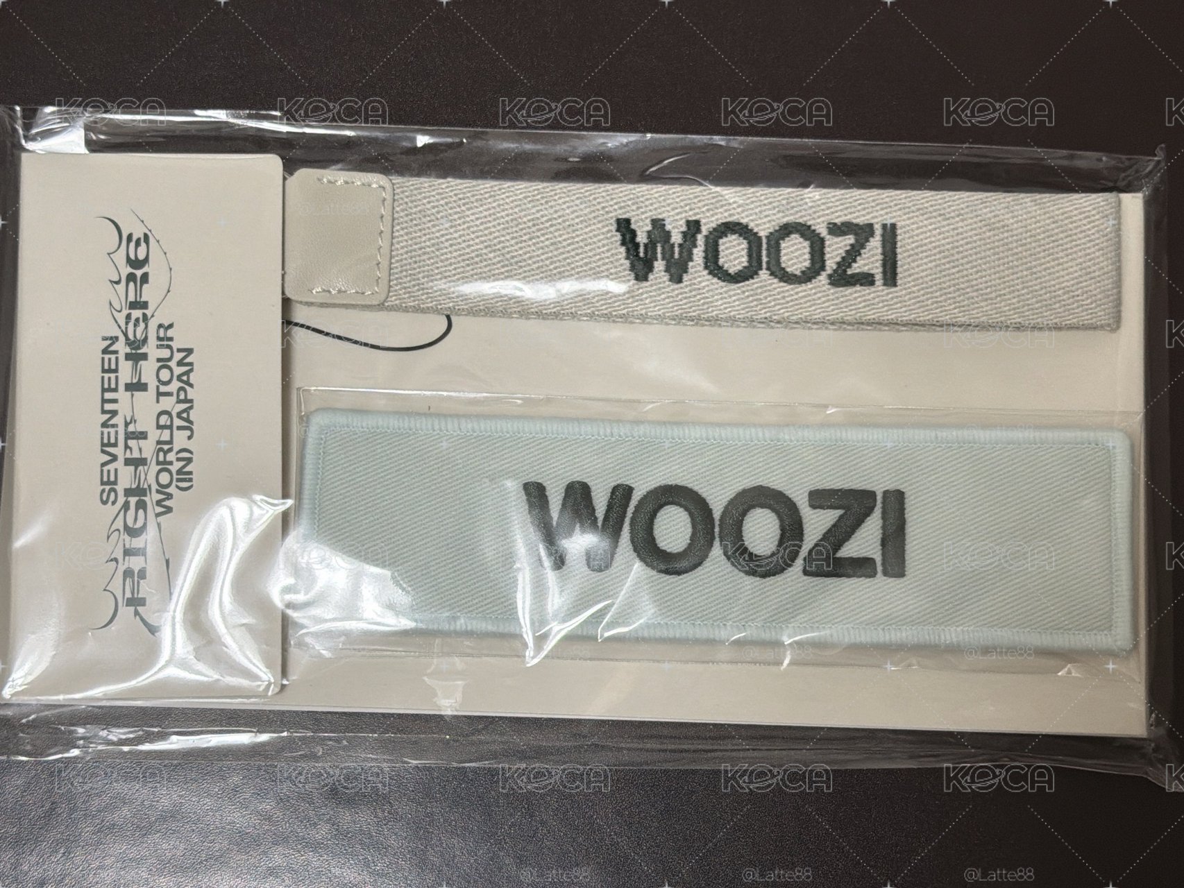 woozi 布章 別針 日巡周邊 李知勳