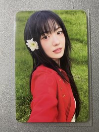 💗紅衣sui