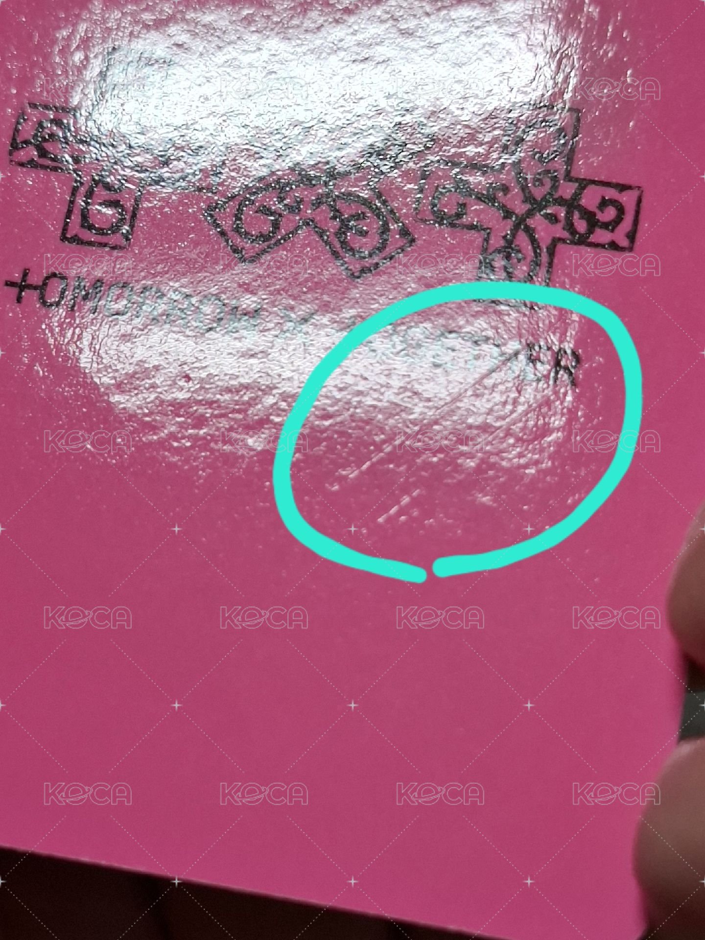 正面無損、背損