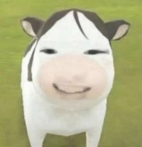 Yuu