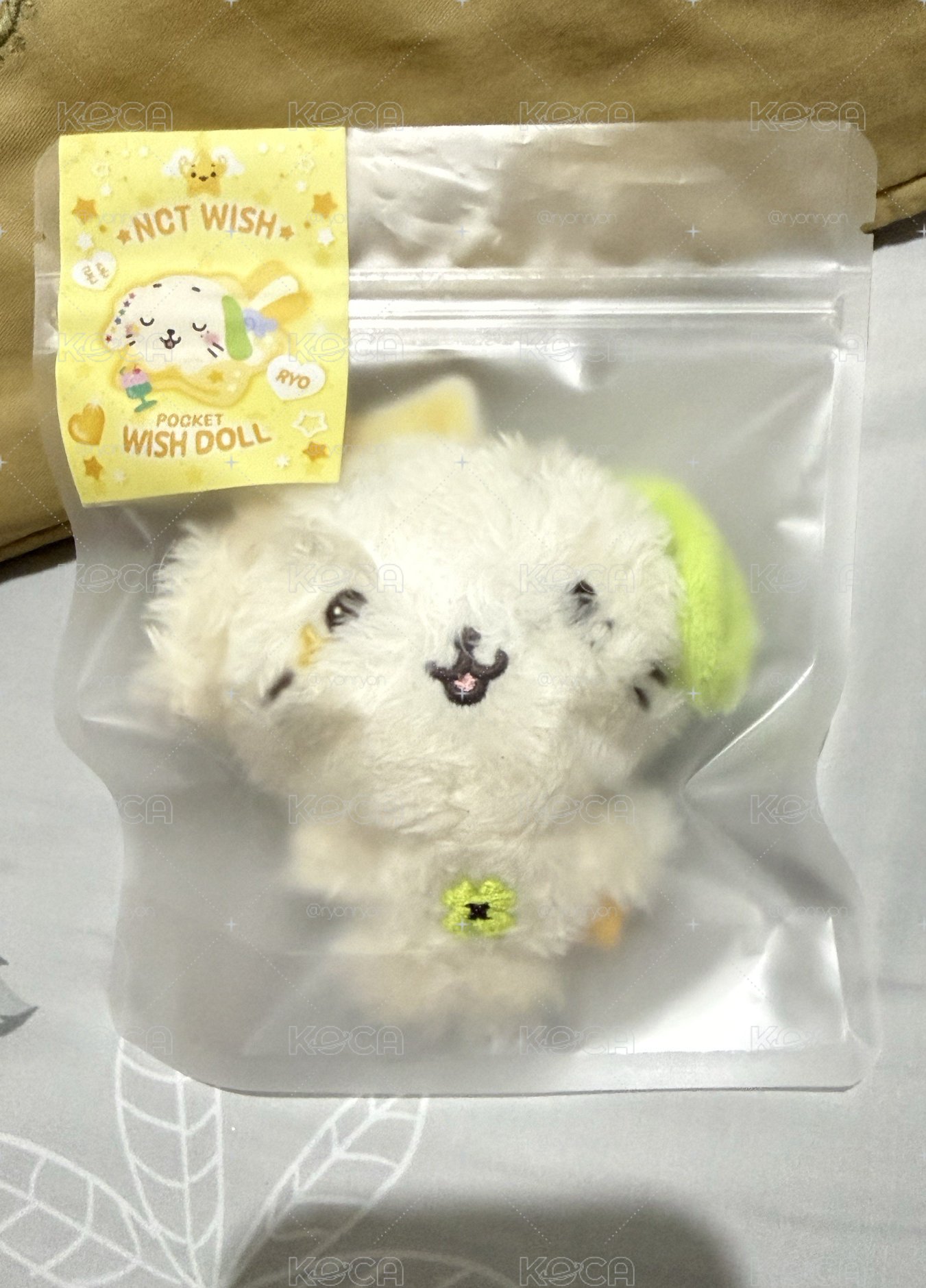 口袋ryon ryon